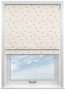 Dasching About, Puppy Biscuit - Roman Blind